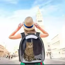 Sac Transparent pour chat