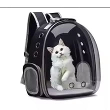 Sac Transparent pour chat